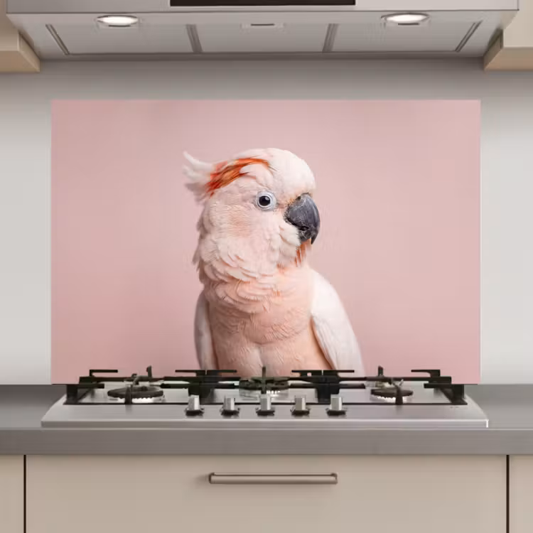 Spatscherm keuken - Kaketoe - Portret - Roze — 1