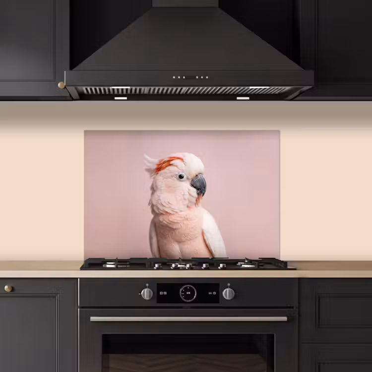 Spatscherm keuken - Kaketoe - Portret - Roze — 2