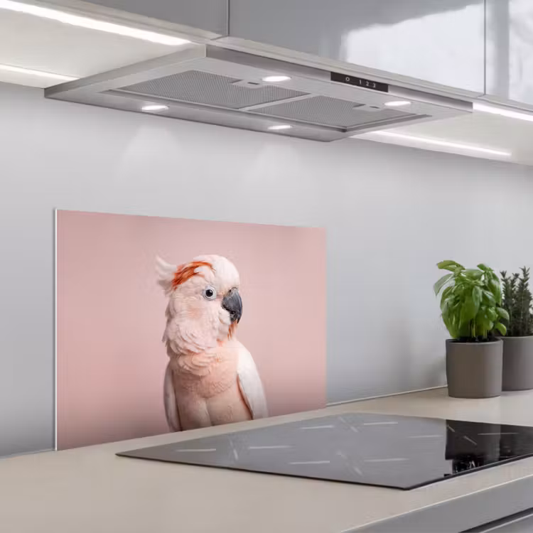 Spatscherm keuken - Kaketoe - Portret - Roze — 5