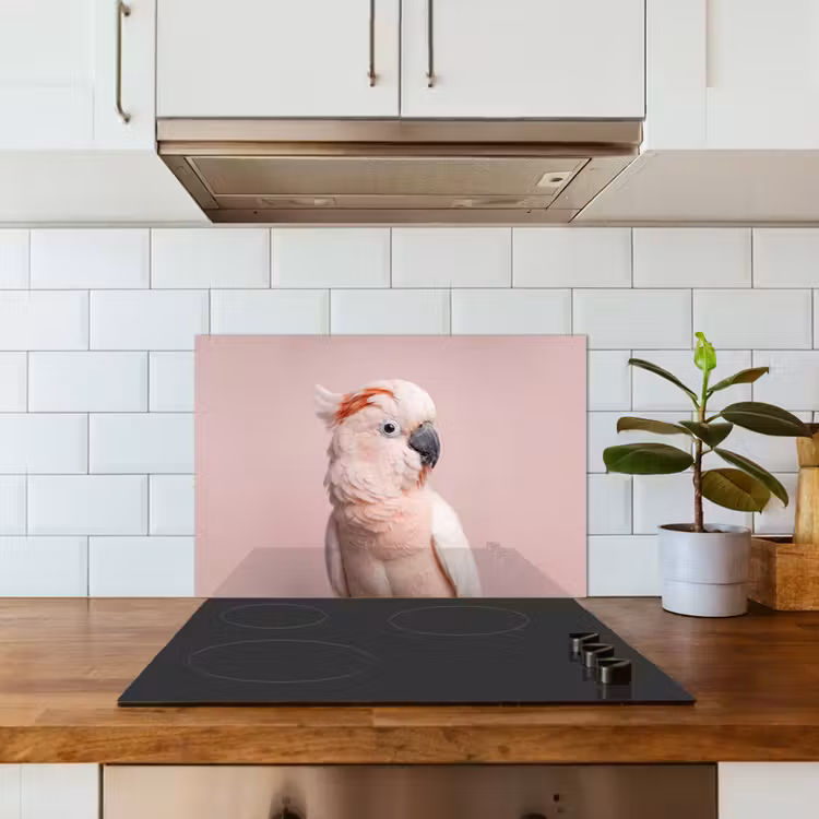 Spatscherm keuken - Kaketoe - Portret - Roze — 6