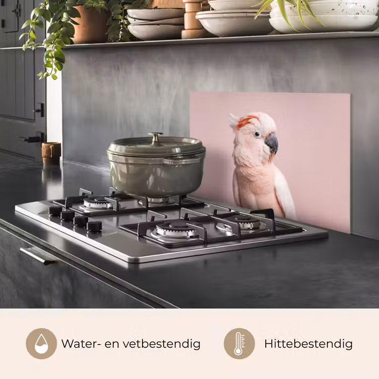 Spatscherm keuken - Kaketoe - Portret - Roze — 7