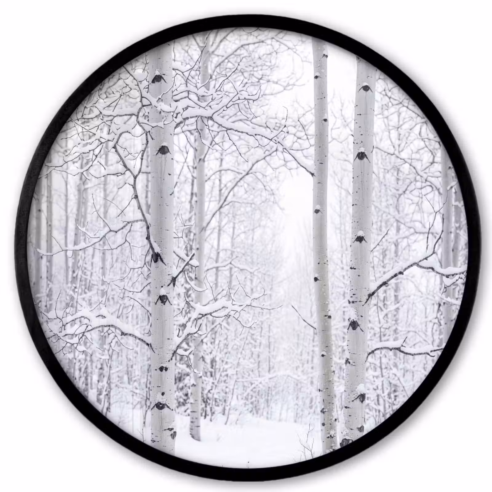 Ronde fotolijst - Berkenbomen - Sneeuw - Winter - Bos - Wit — 1