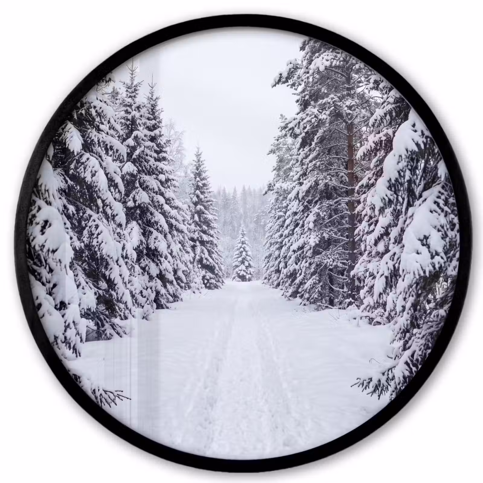 Ronde fotolijst - Bos - Winter - Sneeuw - Pad - Natuur — 1
