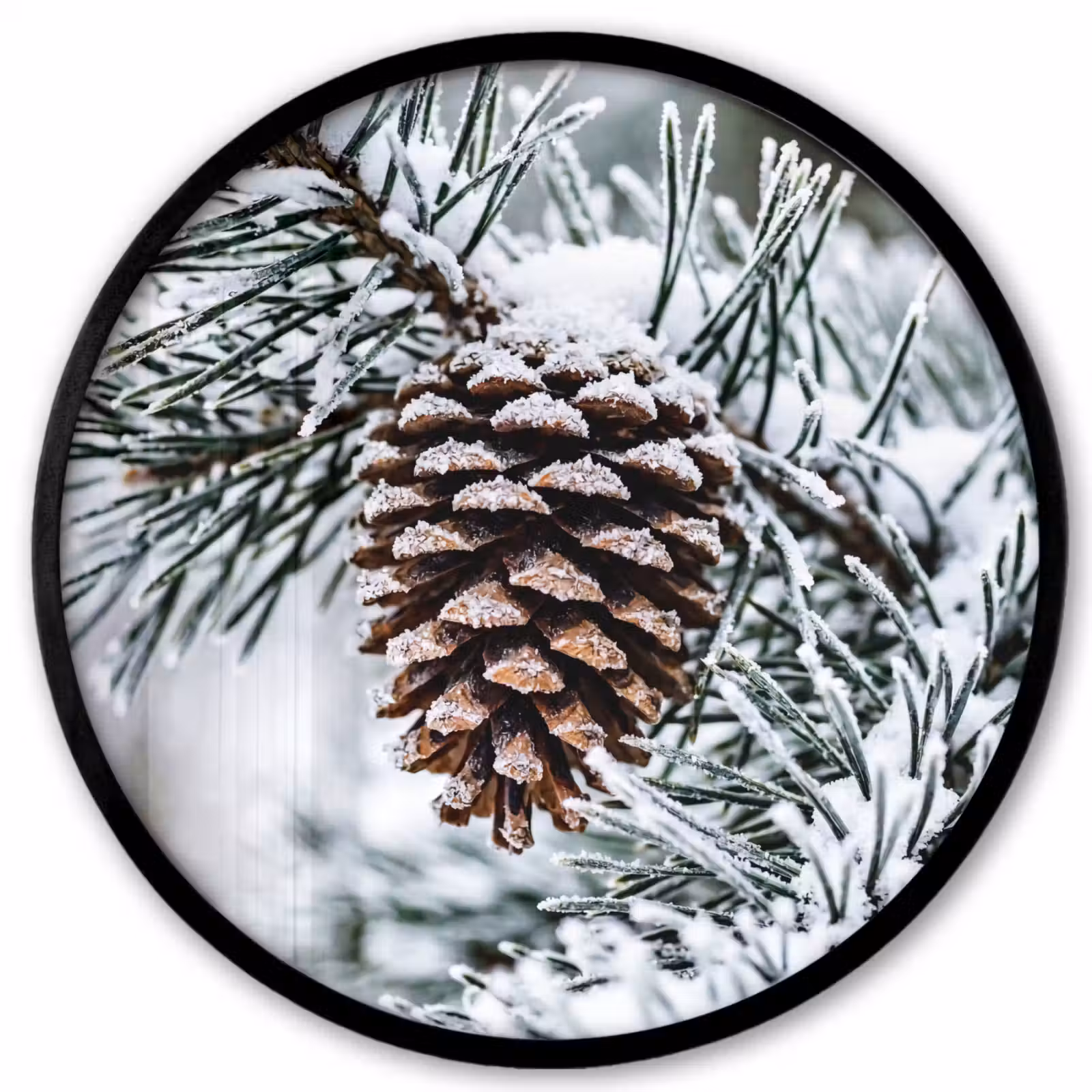 Ronde fotolijst - Dennenappel - Tak - Sneeuw - Winter - Sfeervol — 1