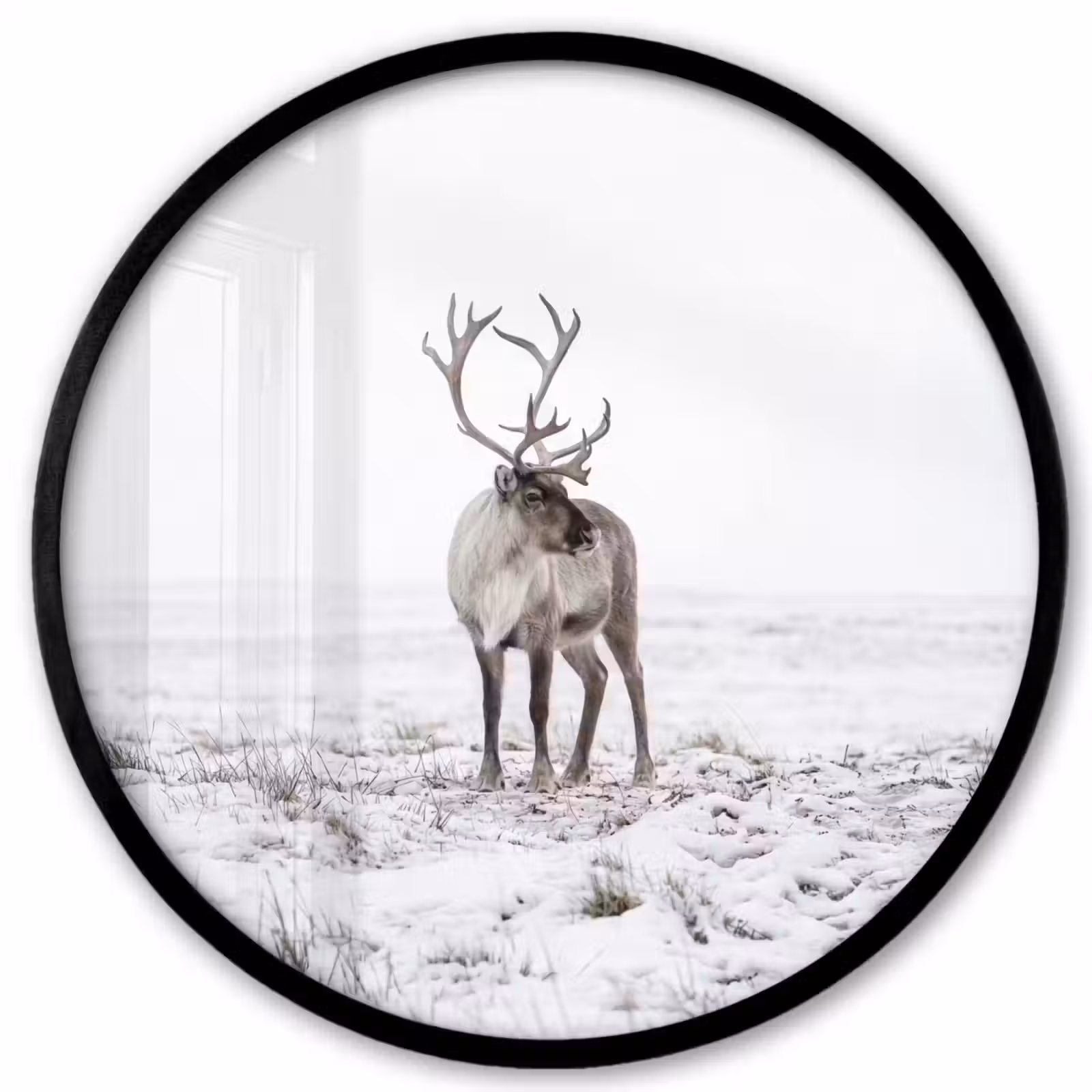 Ronde fotolijst - Rendier - Gewei - Sneeuw - Winter — 1