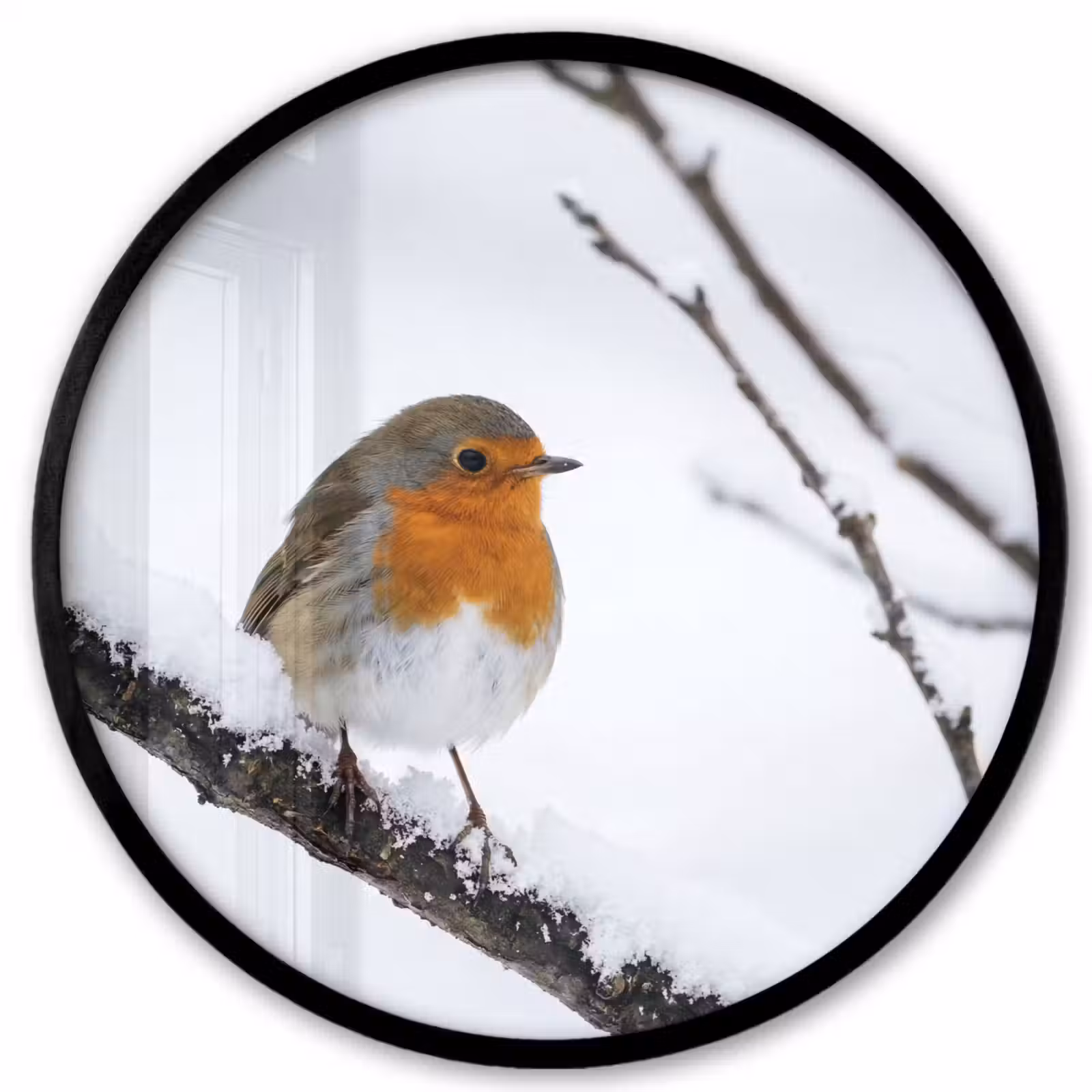 Ronde fotolijst - Roodborstje - Tak - Sneeuw - Winter - Levendig — 1