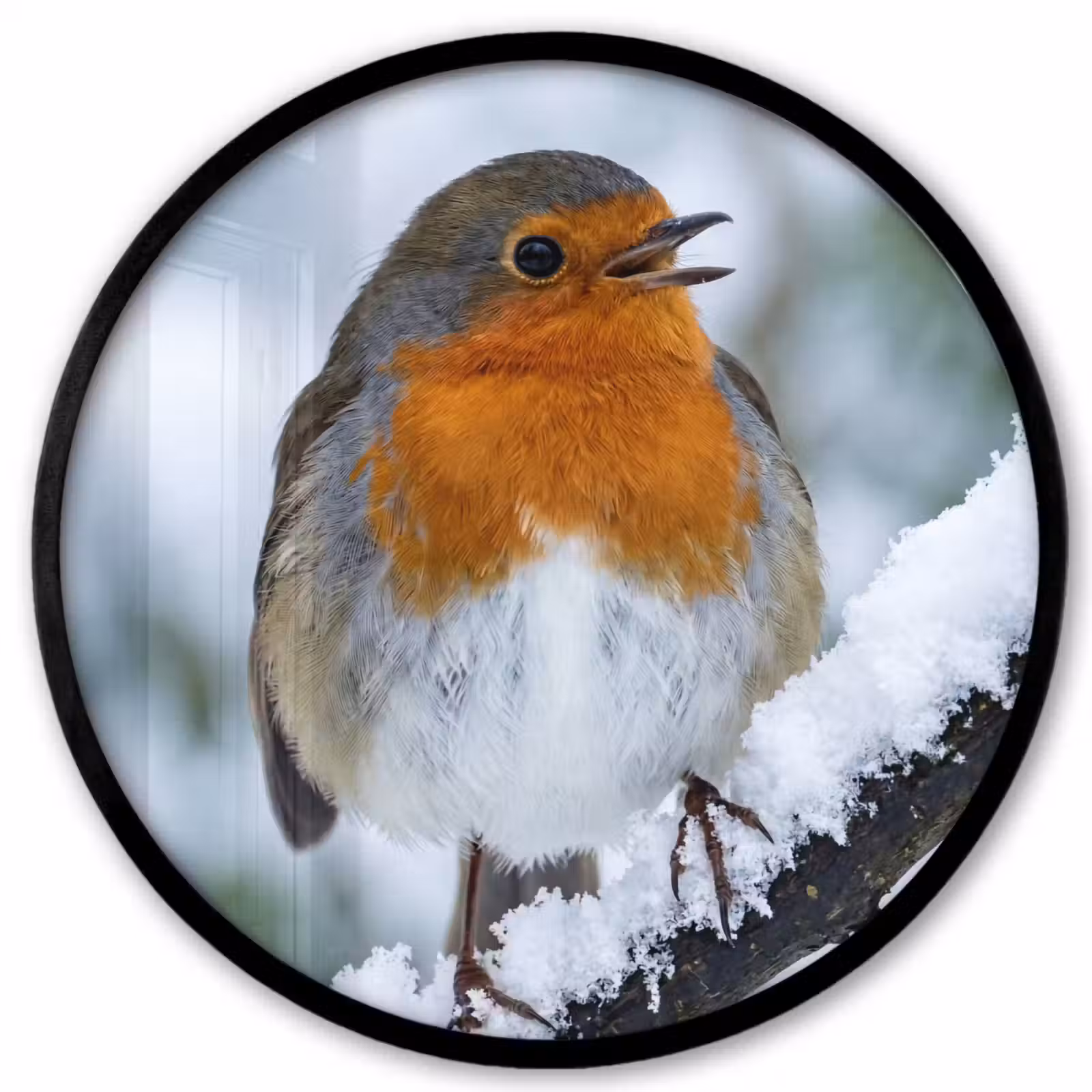 Ronde fotolijst - Roodborstje - Tak - Sneeuw - Winter - Levendig — 1