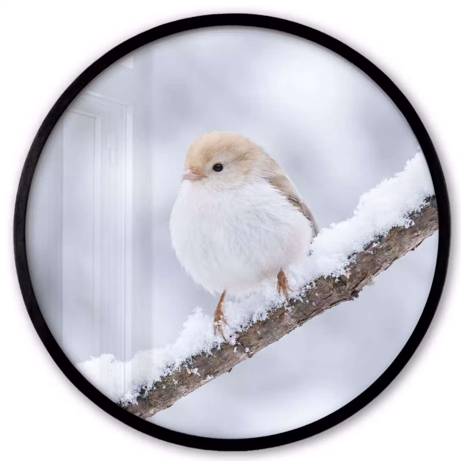 Ronde fotolijst - Vogeltje - Sneeuw - Tak - Winter - Zacht — 1