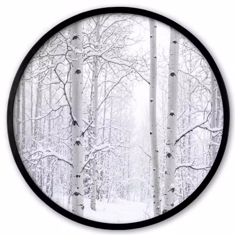 Ronde fotolijst - Berkenbomen - Sneeuw - Winter - Bos - Wit — 1