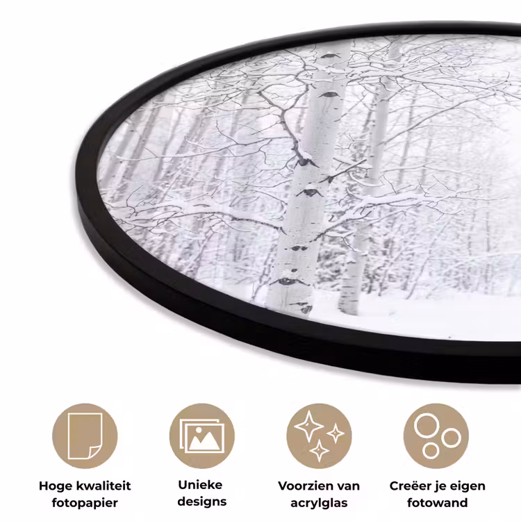 Ronde fotolijst - Berkenbomen - Sneeuw - Winter - Bos - Wit — 2