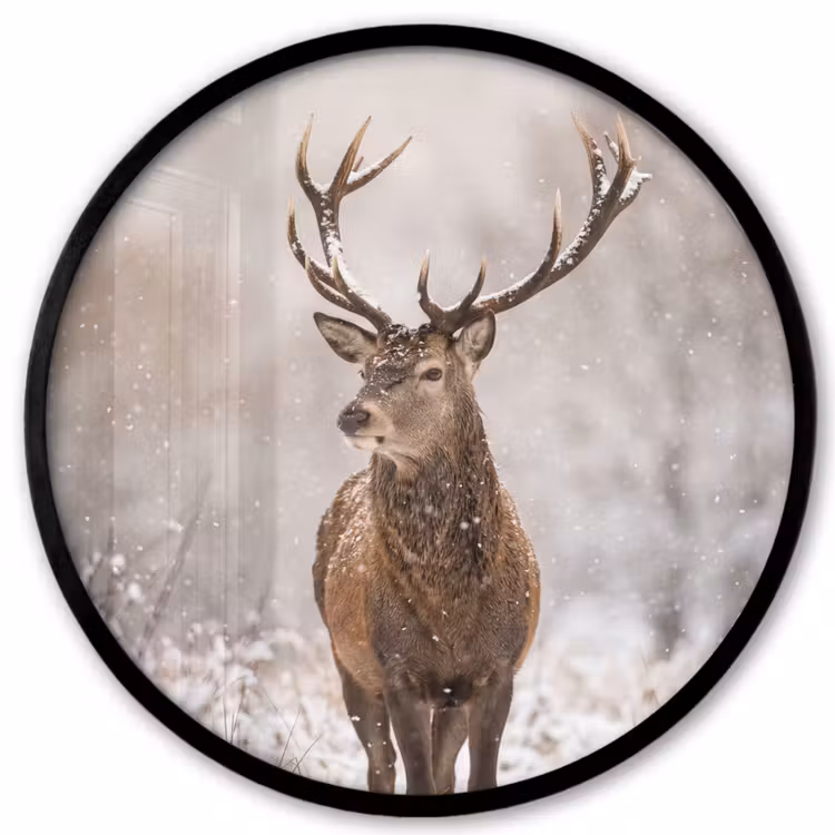 Ronde fotolijst - Edelhert - Bos - Sneeuw - Winter - Majestueus — 1