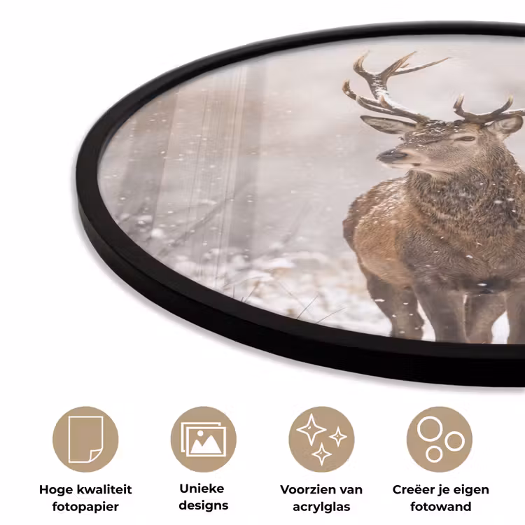 Ronde fotolijst - Edelhert - Bos - Sneeuw - Winter - Majestueus — 2