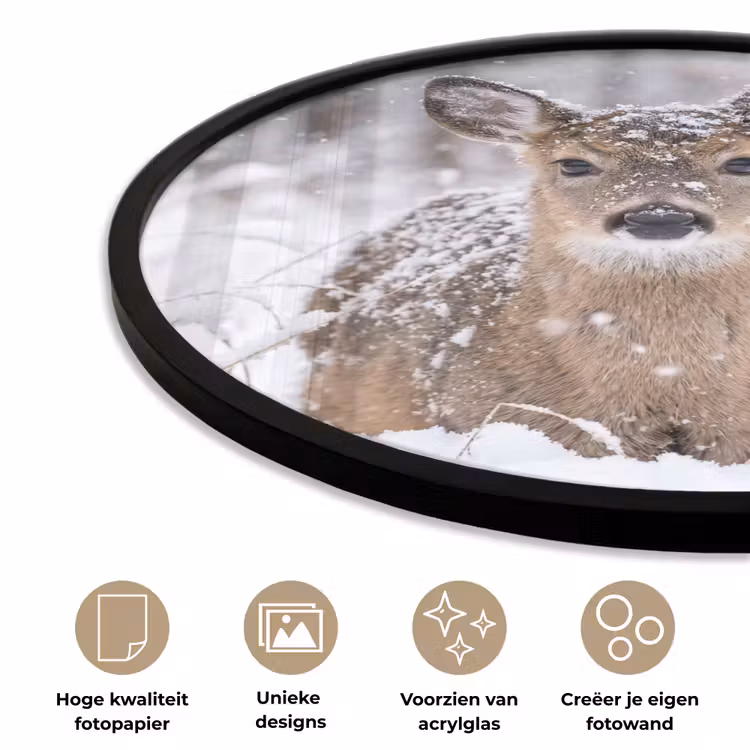 Ronde fotolijst - Hert - Sneeuw - Bos - Dieren - Vertederend — 2