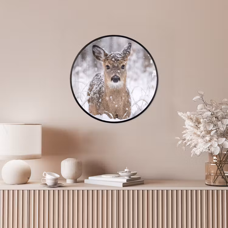 Ronde fotolijst - Hert - Sneeuw - Bos - Dieren - Vertederend — 5