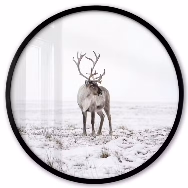 Ronde fotolijst - Rendier - Gewei - Sneeuw - Winter — 1