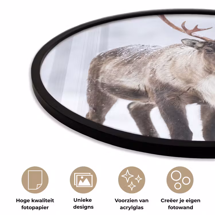 Ronde fotolijst - Rendier - Gewei - Toendra - Sneeuw - Wild — 2