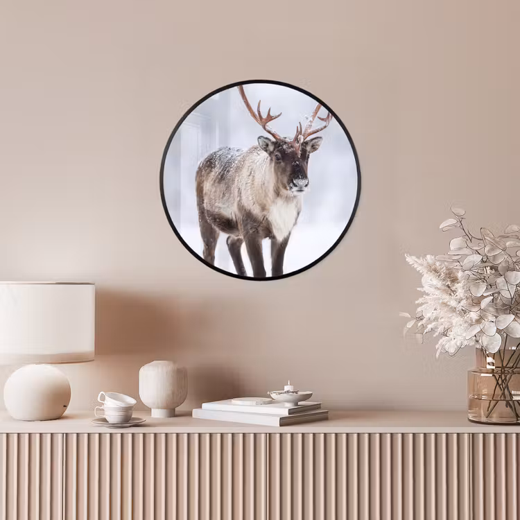 Ronde fotolijst - Rendier - Gewei - Toendra - Sneeuw - Wild — 5