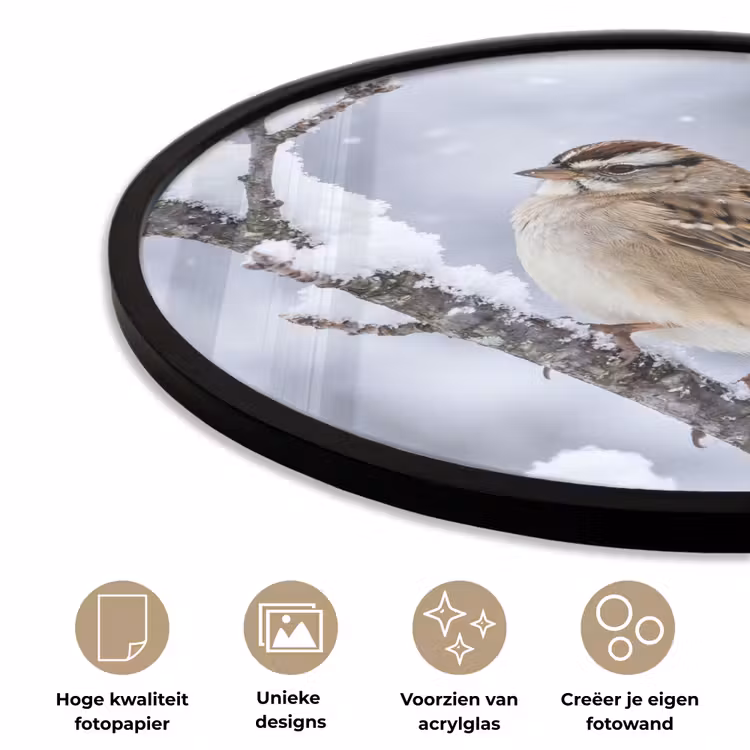 Ronde fotolijst - Vogel - Tak - Sneeuw - Winter — 2
