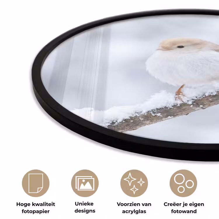 Ronde fotolijst - Vogeltje - Sneeuw - Tak - Winter - Zacht — 2