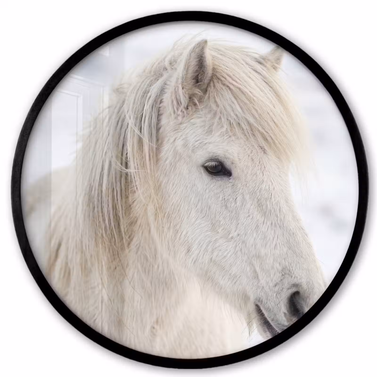 Ronde fotolijst - Paard - Kop - Winter - Dieren - Wit — 1