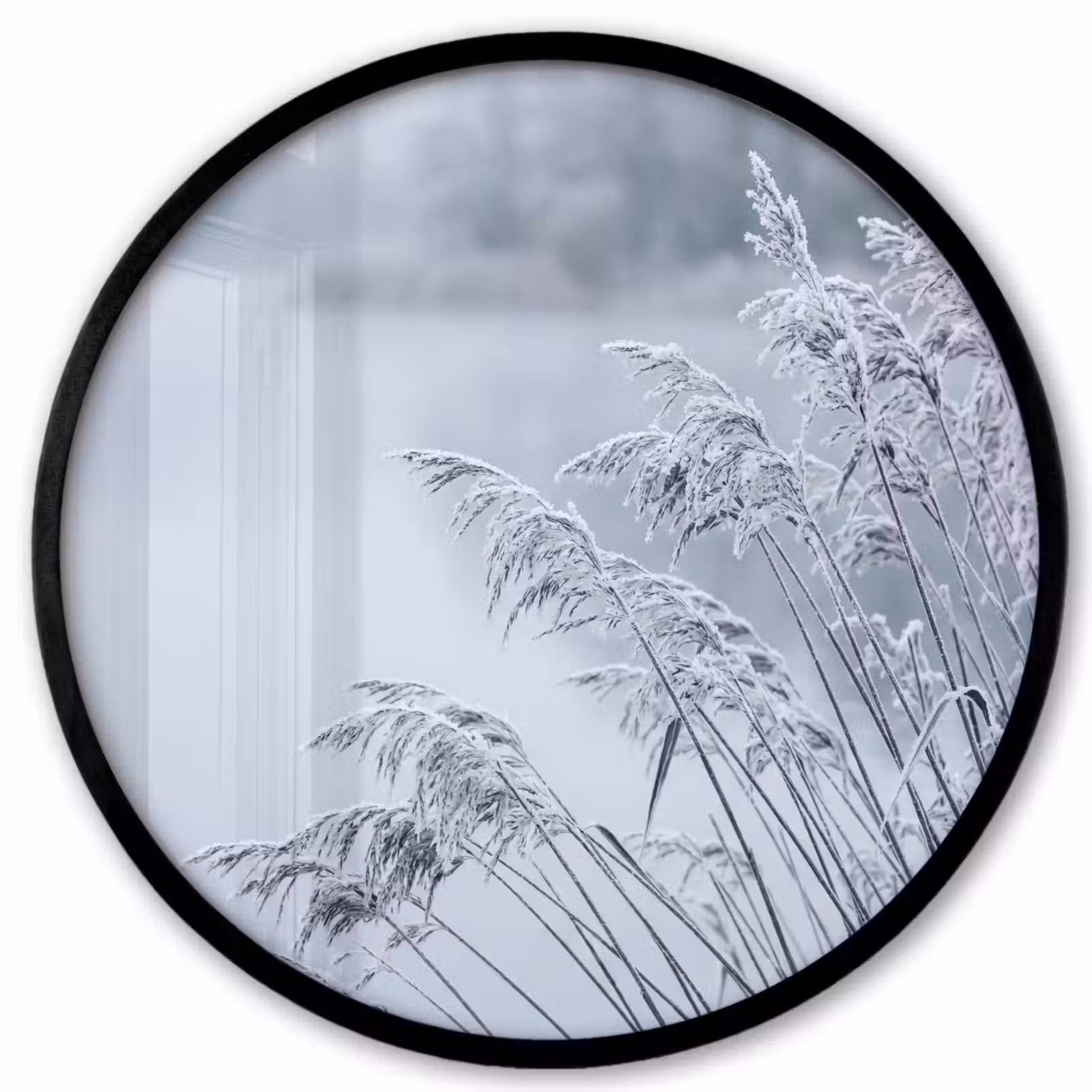 Ronde fotolijst - Riet - Bevroren - Winter - Natuur — 1