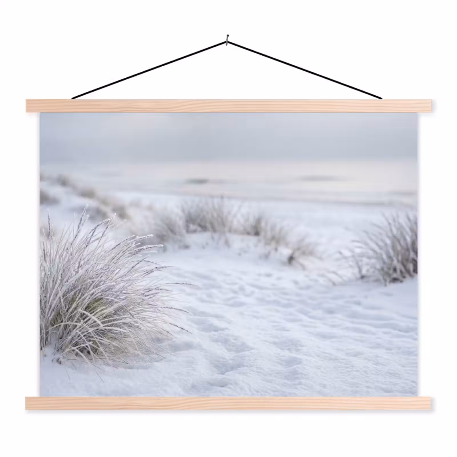 Schoolplaat - Duinen - Sneeuw - Strand - Winter - Serene — 1