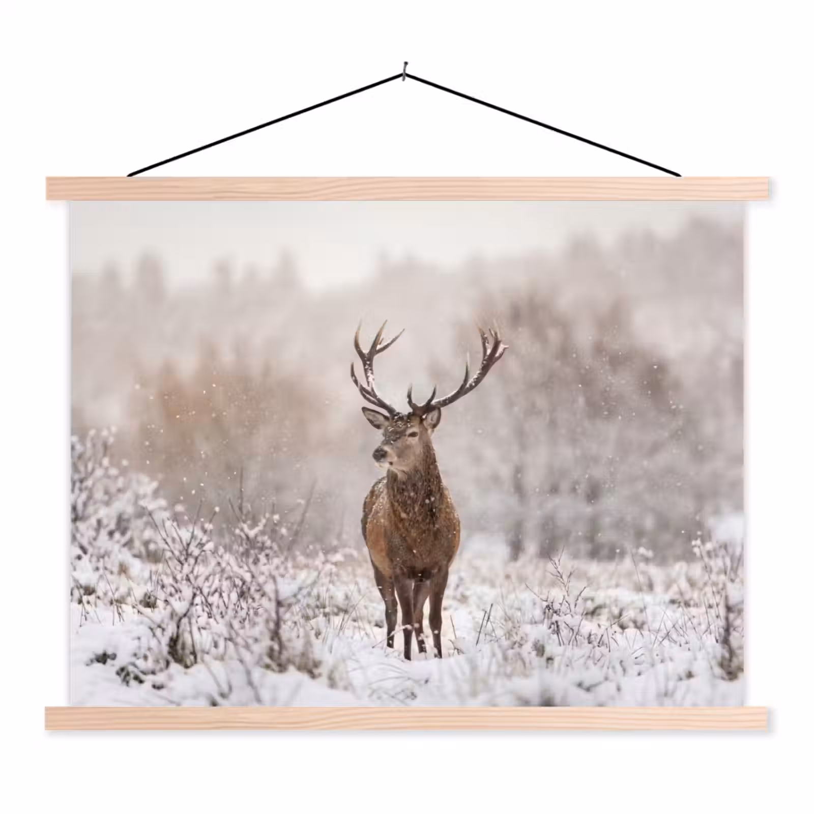 Schoolplaat - Edelhert - Bos - Sneeuw - Winter - Majestueus — 1