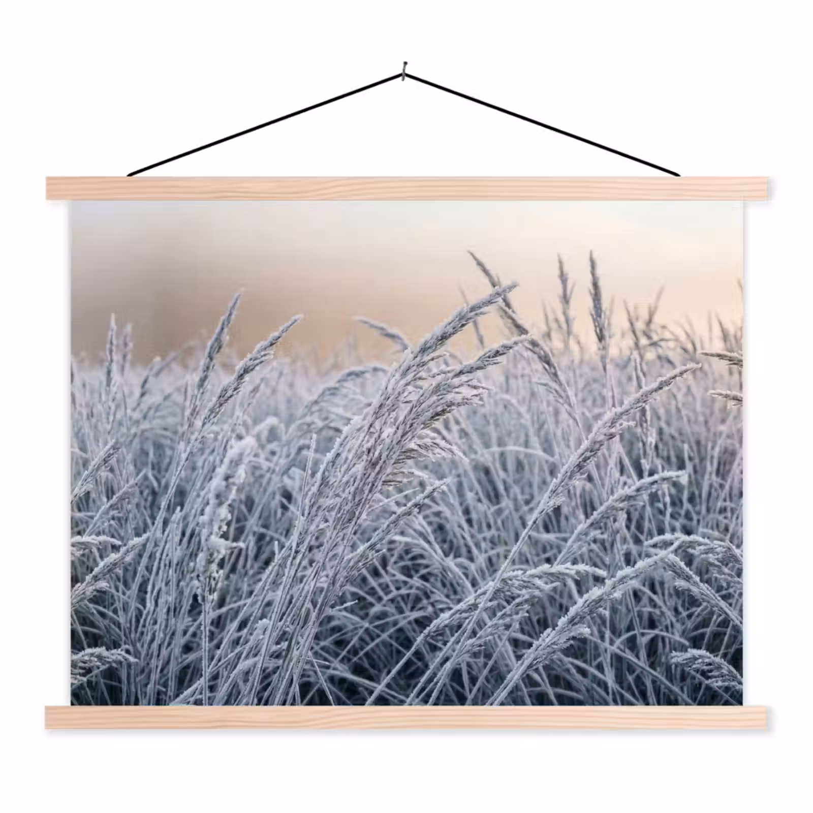 Schoolplaat - Rijp - Gras - Kristallen - Winter - Minimalistisch — 1