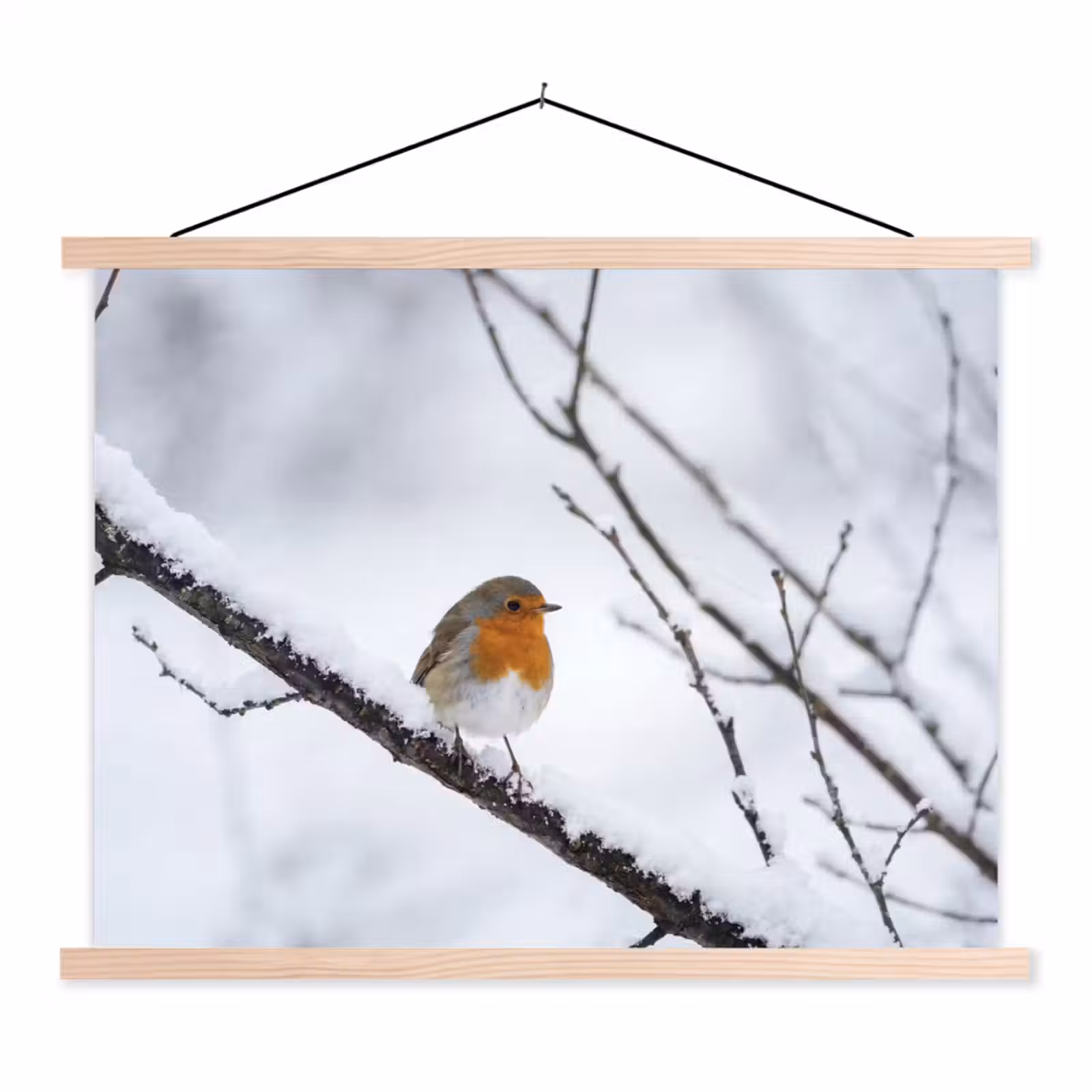 Schoolplaat - Roodborstje - Tak - Sneeuw - Winter - Levendig — 1