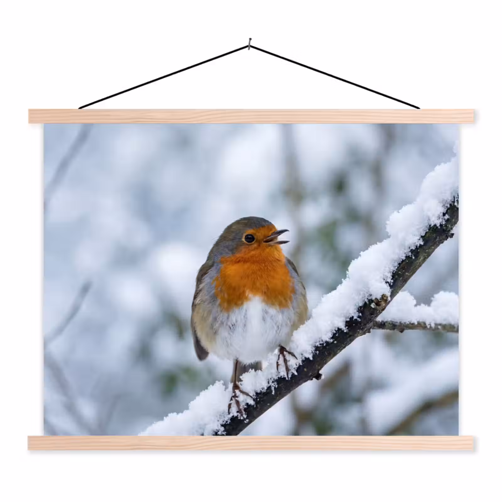 Schoolplaat - Roodborstje - Tak - Sneeuw - Winter - Levendig — 1