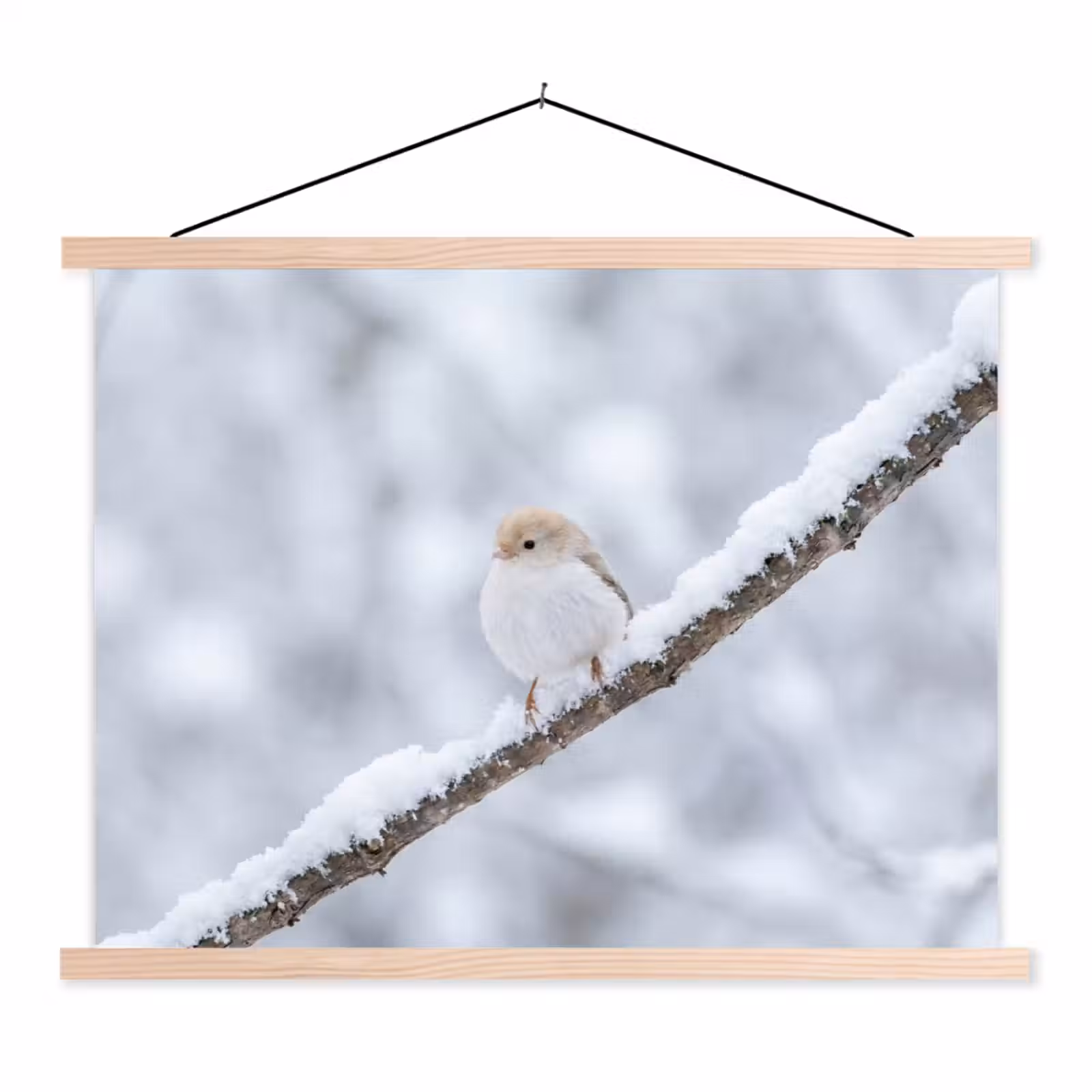 Schoolplaat - Vogeltje - Sneeuw - Tak - Winter - Zacht — 1