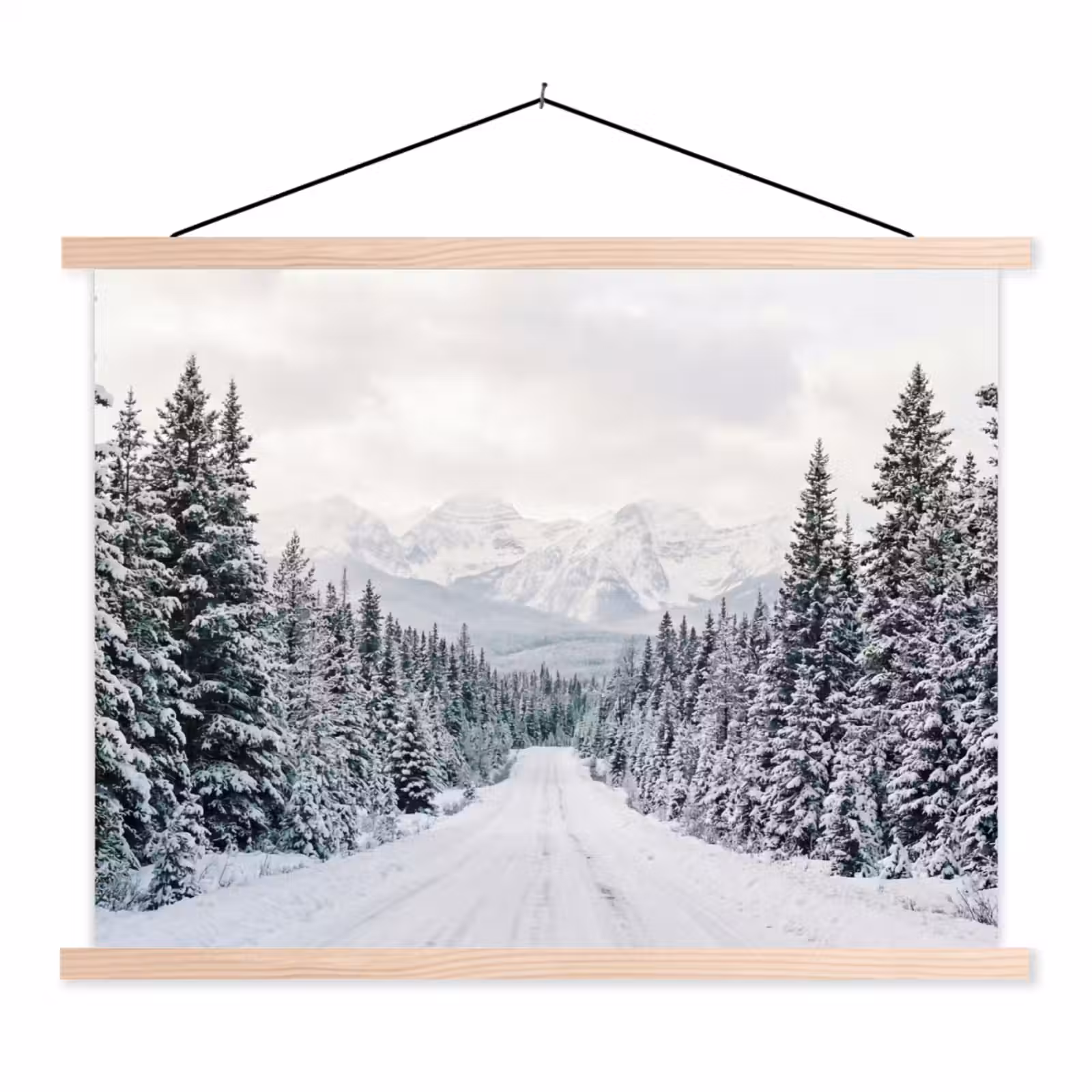 Schoolplaat - Weg - Sneeuw - Naaldbos - Winter - Avontuurlijk — 1