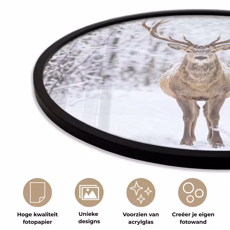 Ronde fotolijst - Hert - Winter - Bos - Natuur - Wit — 2