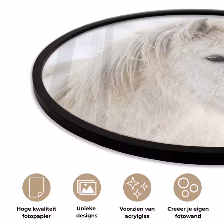 Ronde fotolijst - Paard - Kop - Winter - Dieren - Wit — 2