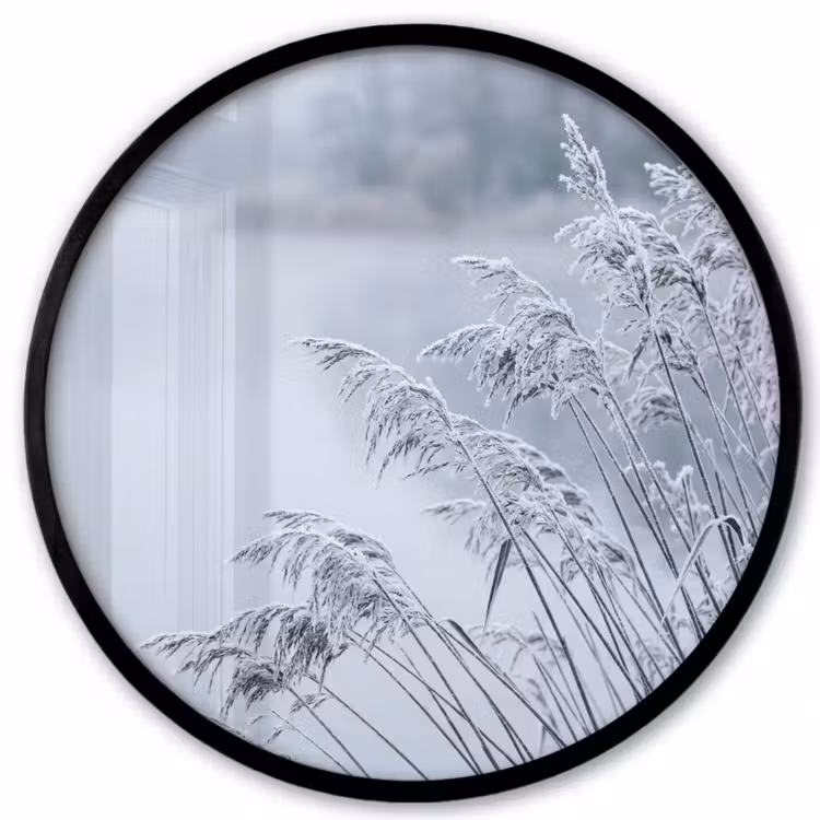 Ronde fotolijst - Riet - Bevroren - Winter - Natuur — 1