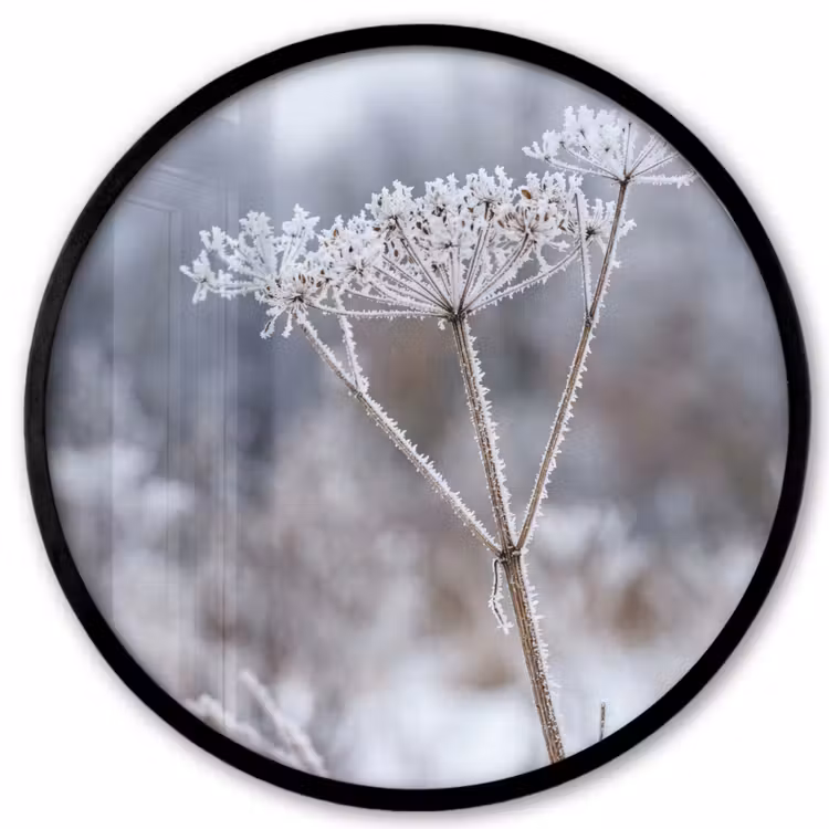 Ronde fotolijst - Schermbloem - Rijp - Kristallen - Winter - Delicaat — 1