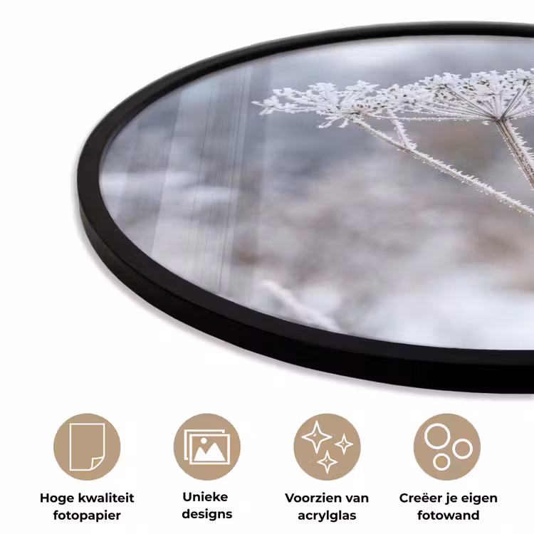 Ronde fotolijst - Schermbloem - Rijp - Kristallen - Winter - Delicaat — 2