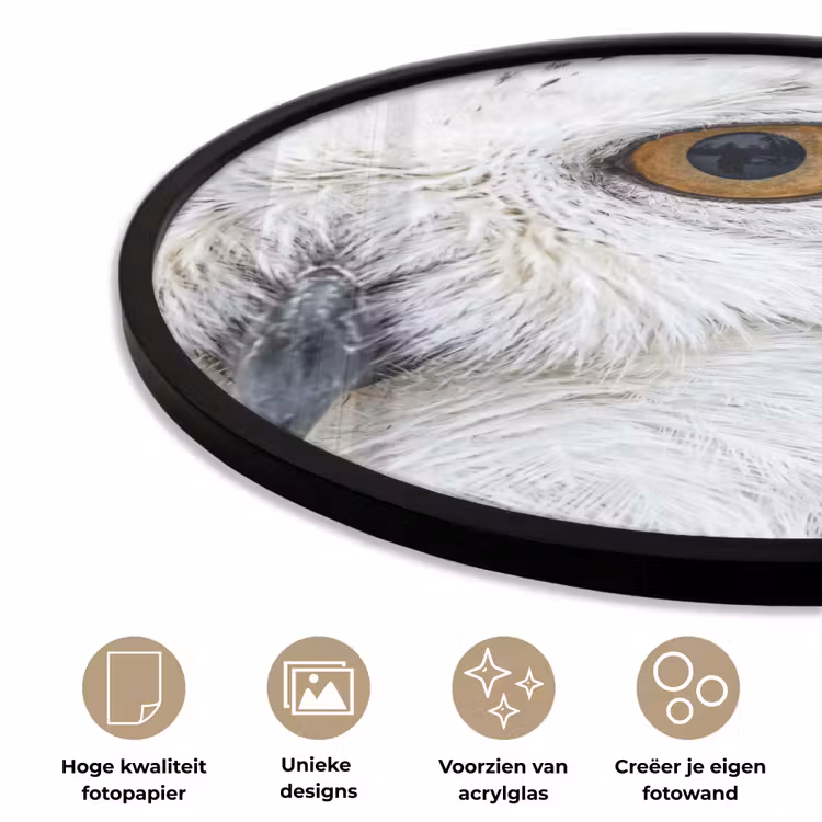 Ronde fotolijst - Sneeuwuil - Oog - Wildlife - Wit — 2