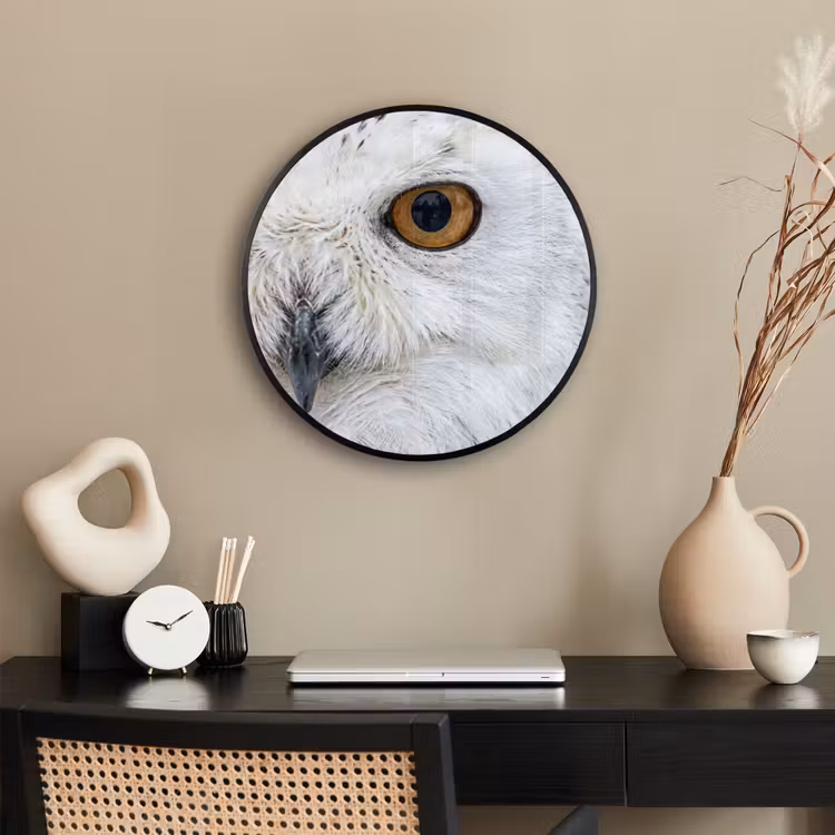 Ronde fotolijst - Sneeuwuil - Oog - Wildlife - Wit — 3