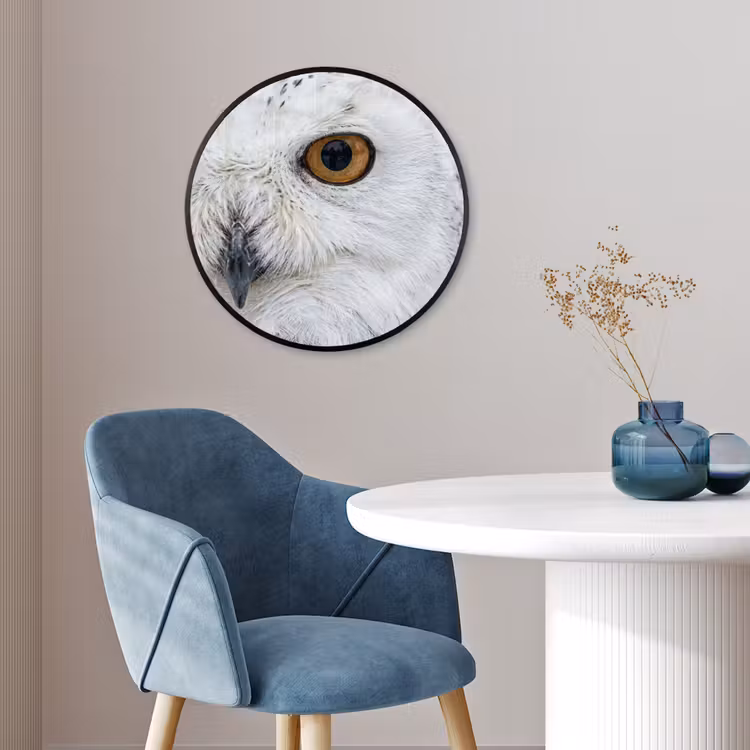 Ronde fotolijst - Sneeuwuil - Oog - Wildlife - Wit — 4