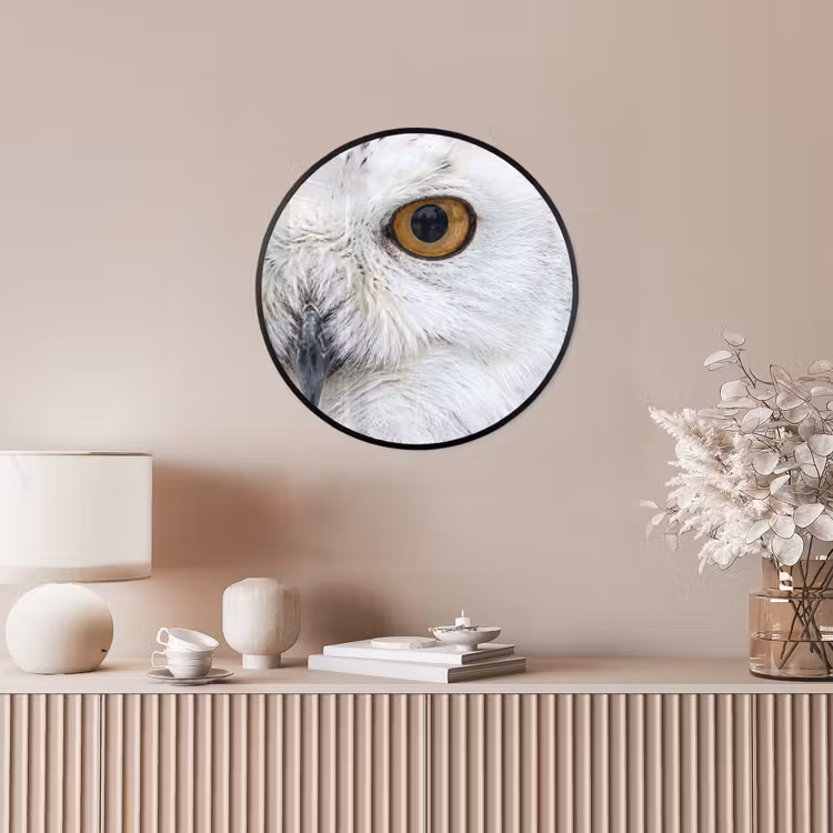 Ronde fotolijst - Sneeuwuil - Oog - Wildlife - Wit — 5