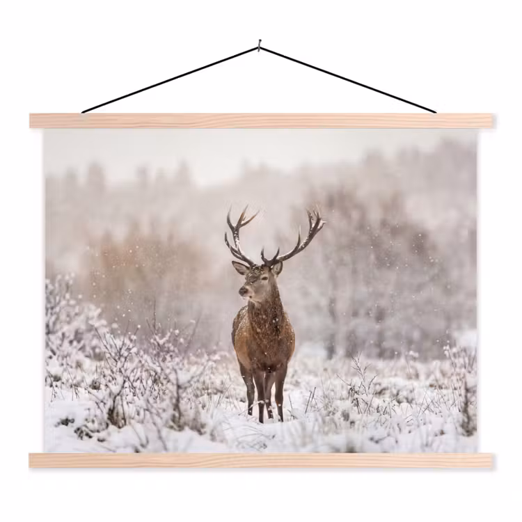 Schoolplaat - Edelhert - Bos - Sneeuw - Winter - Majestueus — 1