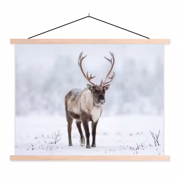 Schoolplaat - Rendier - Gewei - Toendra - Sneeuw - Wild — 1