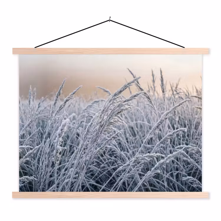 Schoolplaat - Rijp - Gras - Kristallen - Winter - Minimalistisch — 1