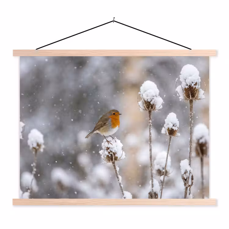 Schoolplaat - Roodborstje - Gedroogde bloem - Sneeuw - Winter - Vertederend — 1
