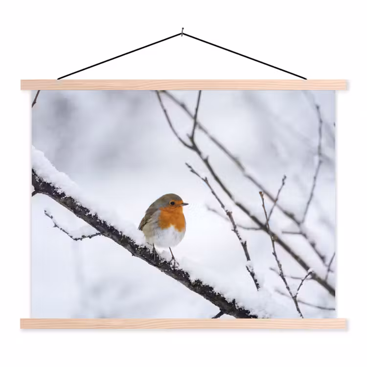 Schoolplaat - Roodborstje - Tak - Sneeuw - Winter - Levendig — 1