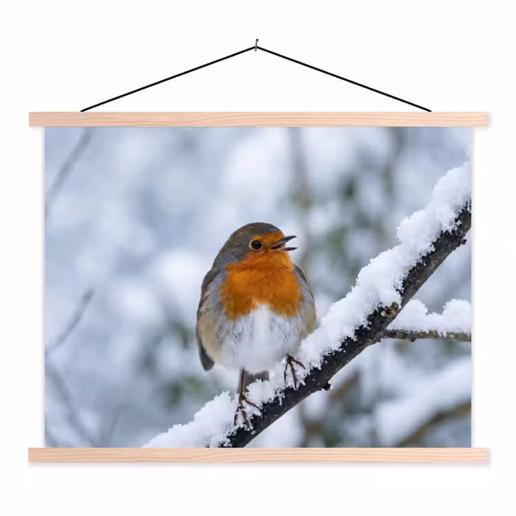 Schoolplaat - Roodborstje - Tak - Sneeuw - Winter - Levendig — 1
