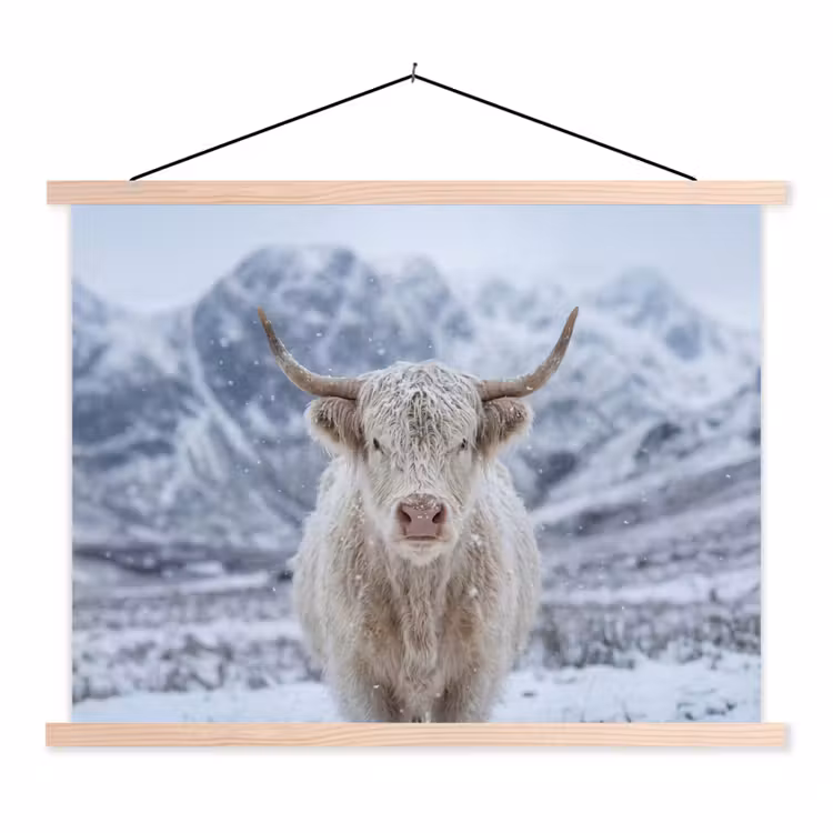 Schoolplaat - Schotse Hooglander - Sneeuw - Bergen - Winter — 1