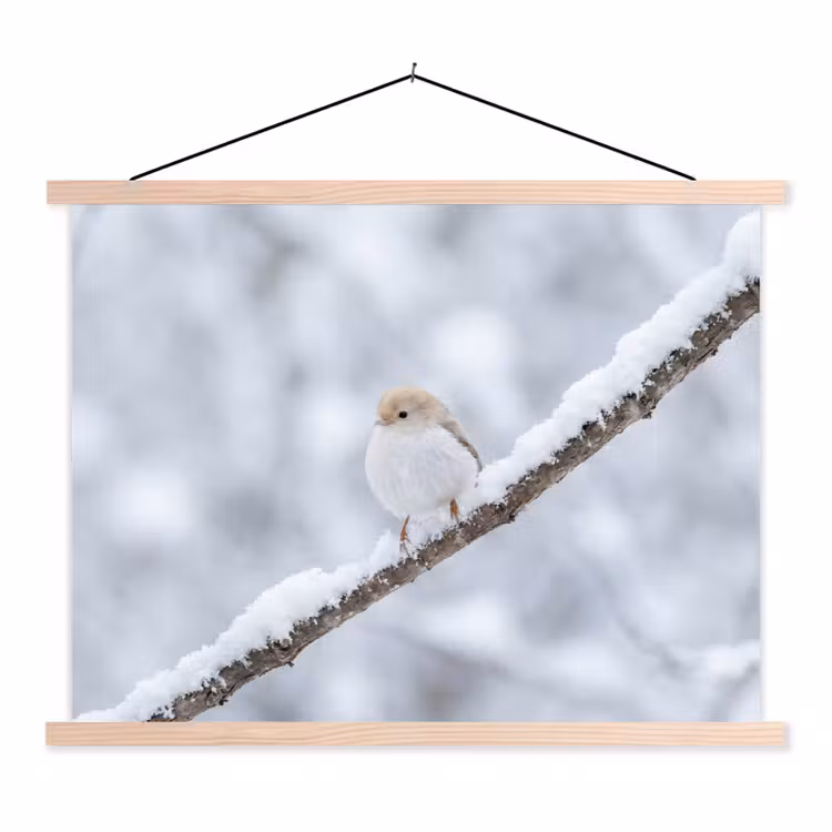 Schoolplaat - Vogeltje - Sneeuw - Tak - Winter - Zacht — 1