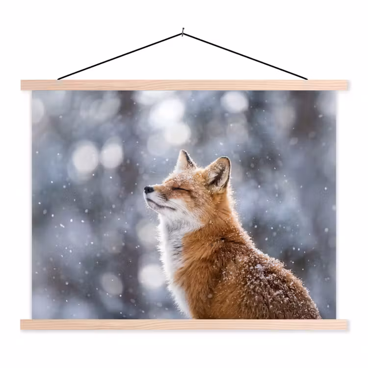 Schoolplaat - Vos - Sneeuwval - Portret - Winter - Sfeervol — 1